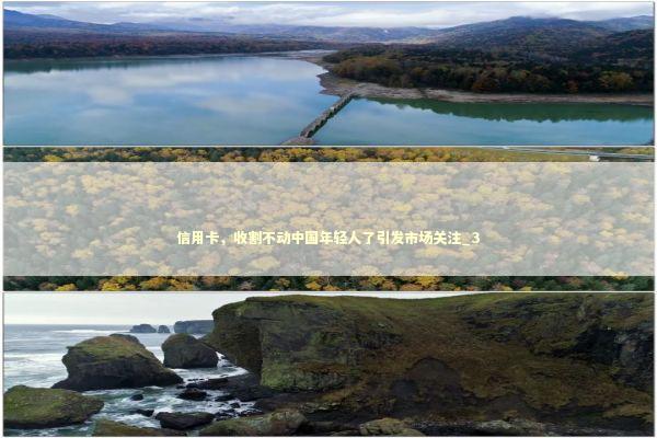 信用卡，收割不动中国年轻人了引发市场关注_3