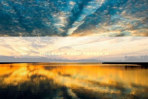 1500亿龙头涨停，历史新高！引发市场关注_10 新闻