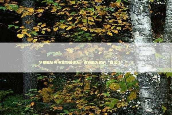 华夏幸福等待重整投资人，谁将成为它的“白武士”？_3 新闻