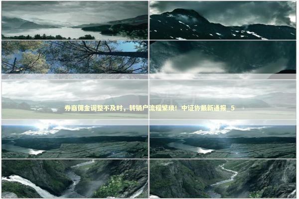 券商佣金调整不及时，转销户流程繁琐！中证协最新通报_5