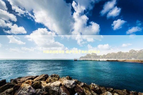 刘国梁战略智慧 国乒长盛不衰的成功秘诀