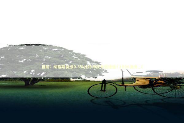 盘前：纳指期货涨0.5%比特币跃升至接近72000美元_2 新闻