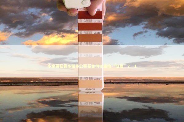 小金属获看多做多公募基金何以重拾“旧爱”？_1 新闻