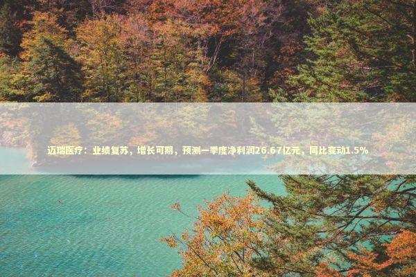 迈瑞医疗：业绩复苏，增长可期，预测一季度净利润26.67亿元，同比变动1.5%