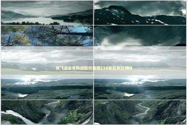 奈飞退出竞购战股价暴涨138背后原因揭秘