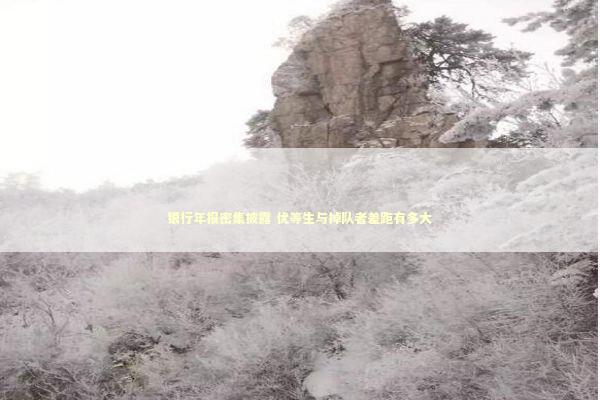 银行年报密集披露 优等生与掉队者差距有多大 新闻