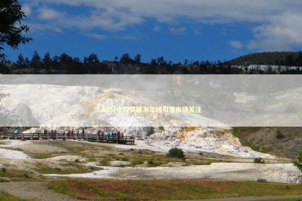 48只个股突破半年线引发市场关注