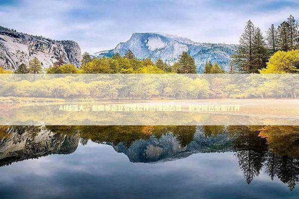 AI越强大，金蝶等企业管理软件价值越凸显：新空间已全面打开 新闻