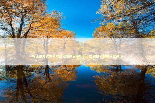 你还在为软件获取过程感到困惑吗？一些实用心得可以帮到你