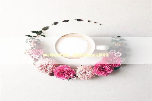 神秘限定隐私堡垒：重塑对话安全的无限可能