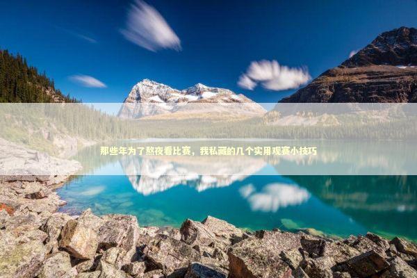 那些年为了熬夜看比赛，我私藏的几个实用观赛小技巧