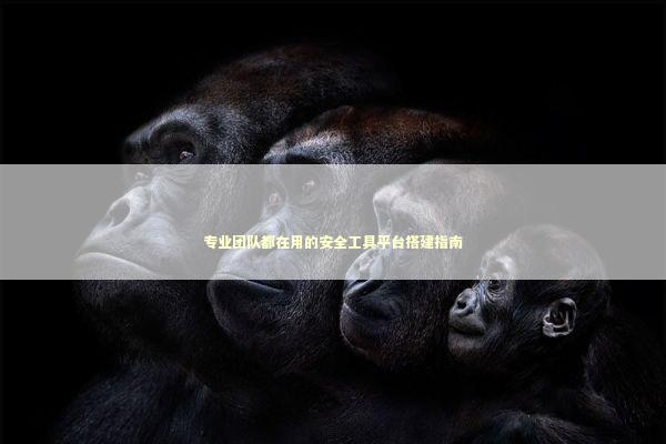 专业团队都在用的安全工具平台搭建指南