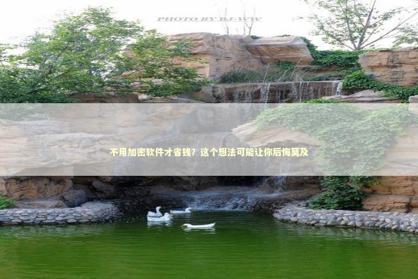 不用加密软件才省钱？这个想法可能让你后悔莫及